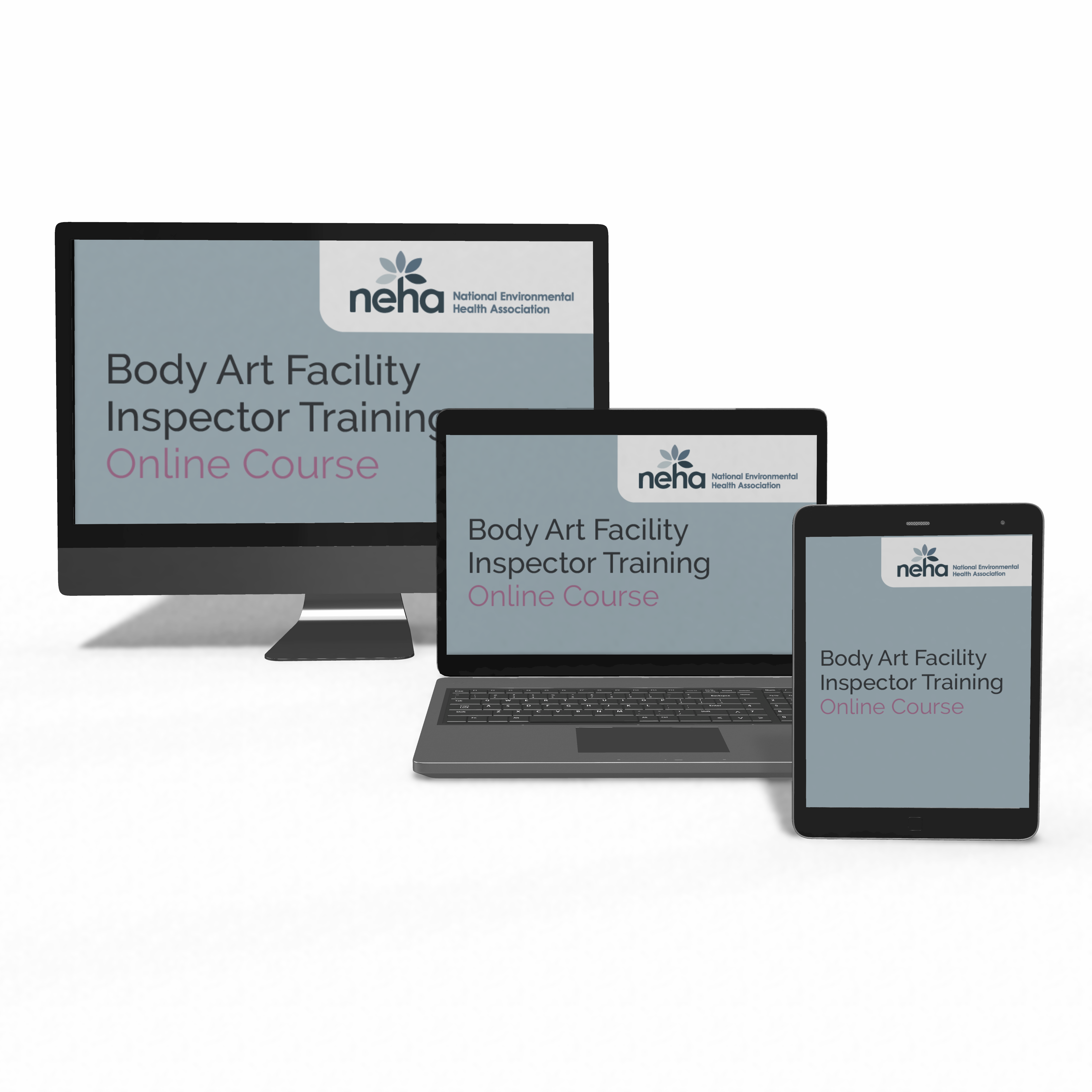 Body Art Facility Inspector Training