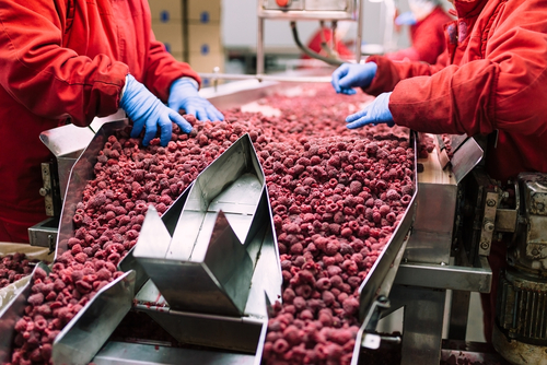 HACCP Basics for the Fresh and Fresh-Cut Produce Industry